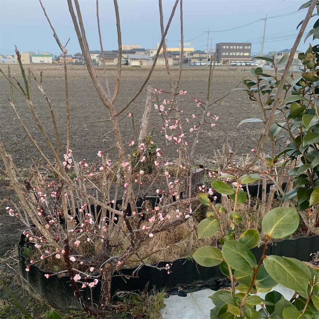 f:id:keikostyle:20220215070652j:image