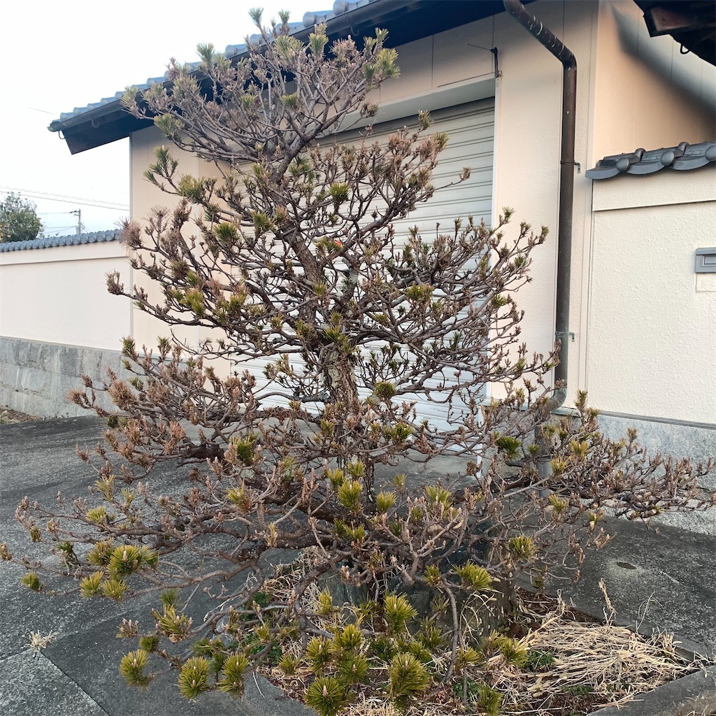 f:id:keikostyle:20220215070701j:image