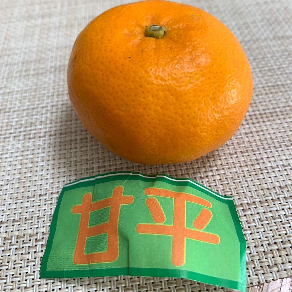 f:id:keikostyle:20220215100539j:image