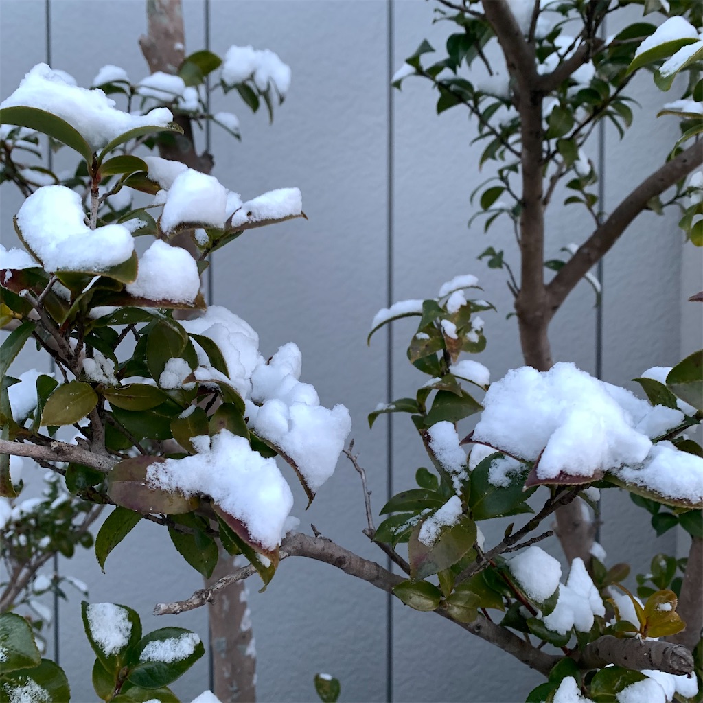 f:id:keikostyle:20220217071228j:image