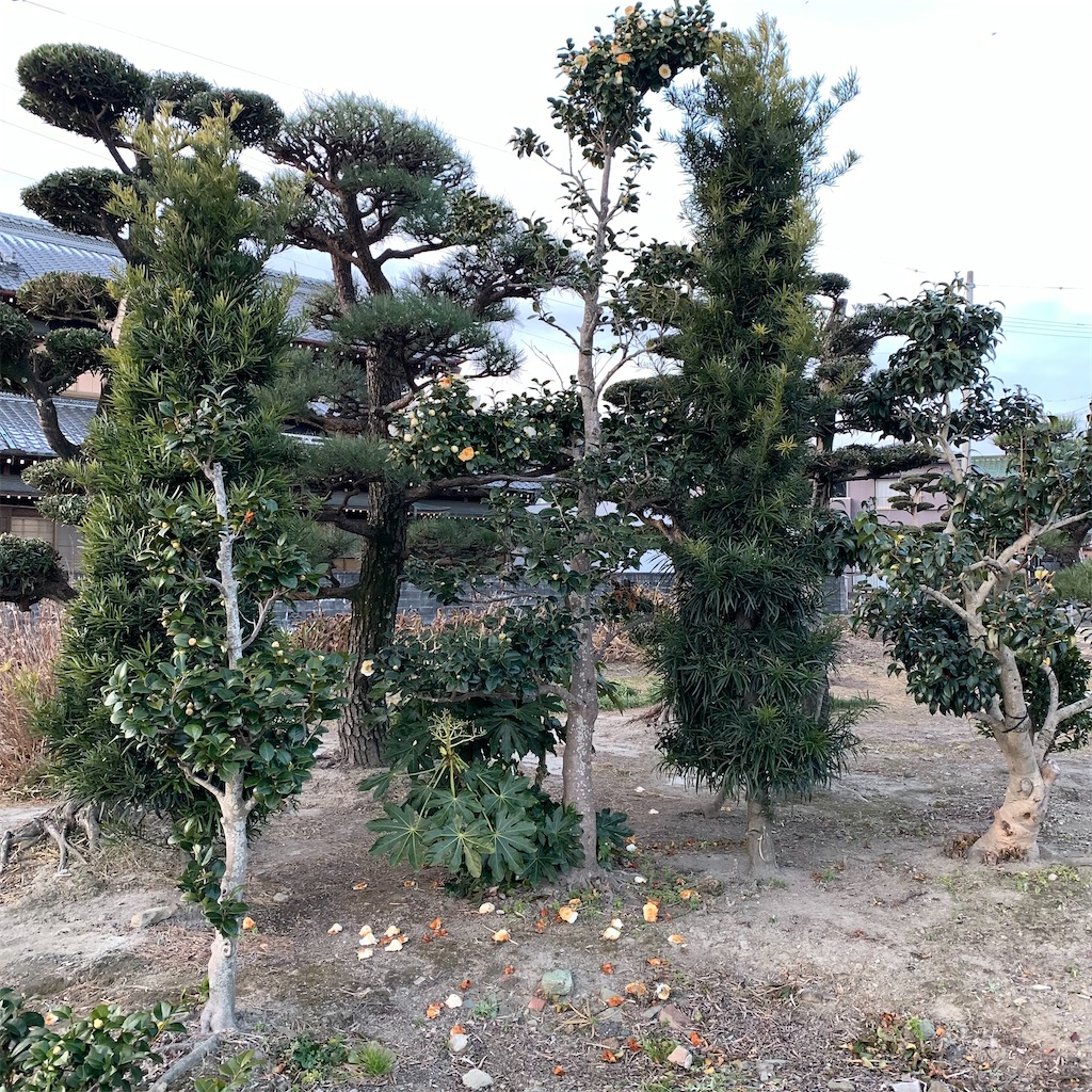 f:id:keikostyle:20220218071448j:image
