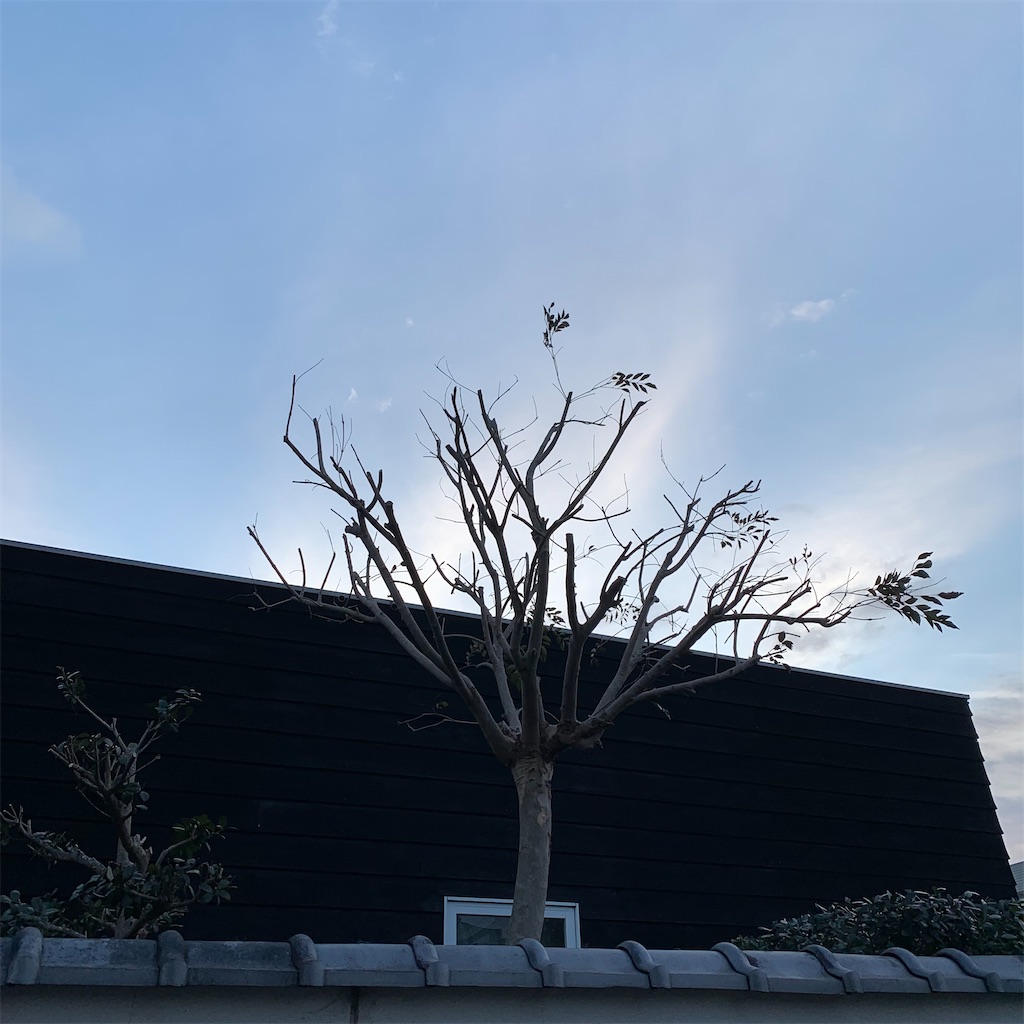 f:id:keikostyle:20220218071503j:image