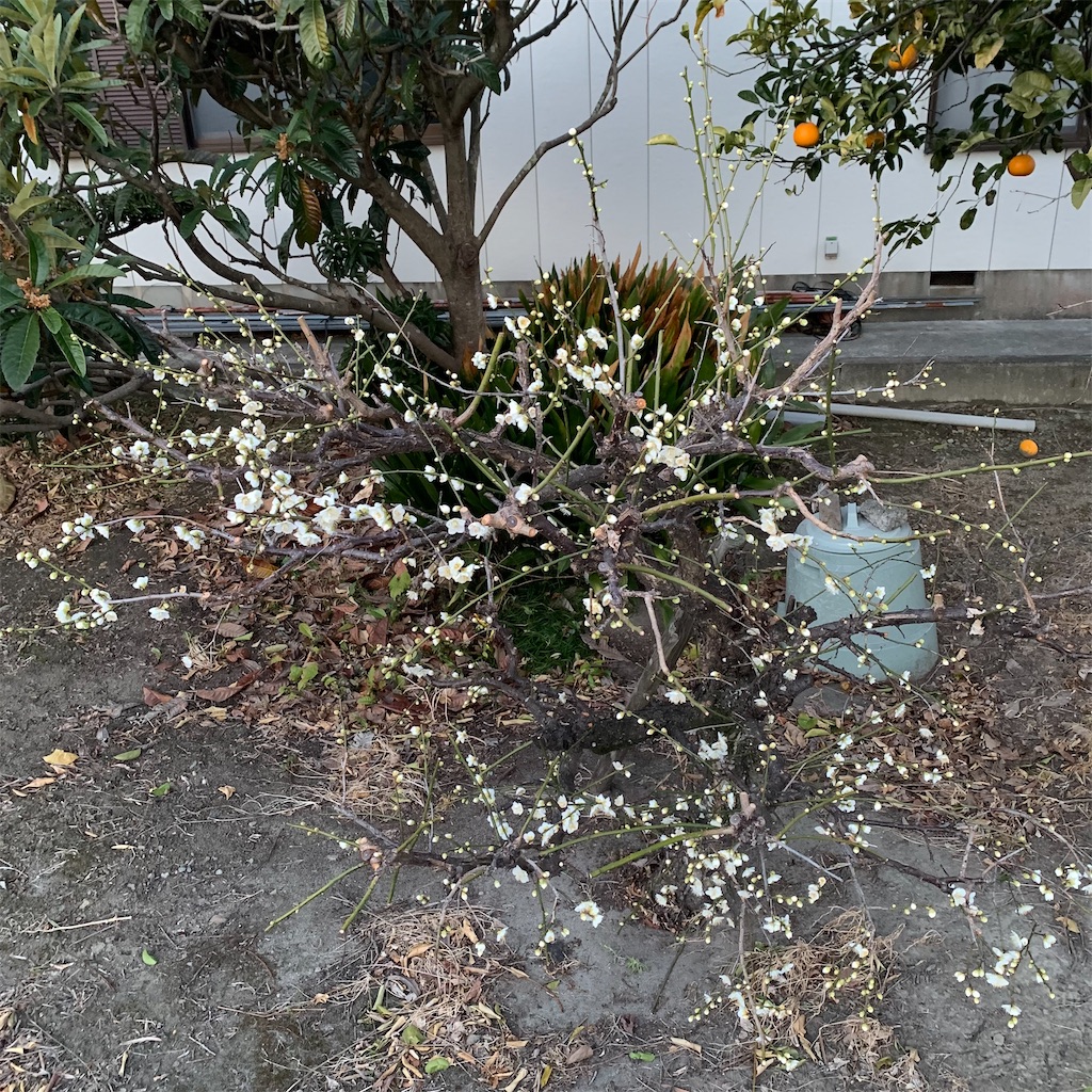 f:id:keikostyle:20220218071506j:image