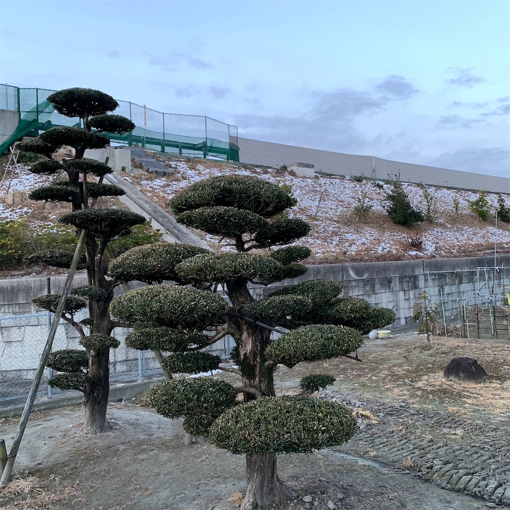 f:id:keikostyle:20220218071515j:image