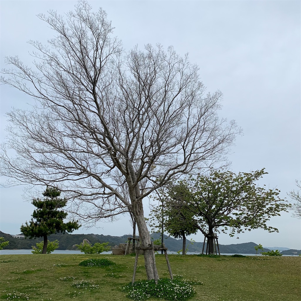 f:id:keikostyle:20220418155353j:image