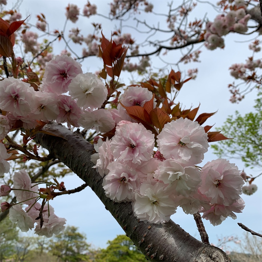 f:id:keikostyle:20220418155359j:image
