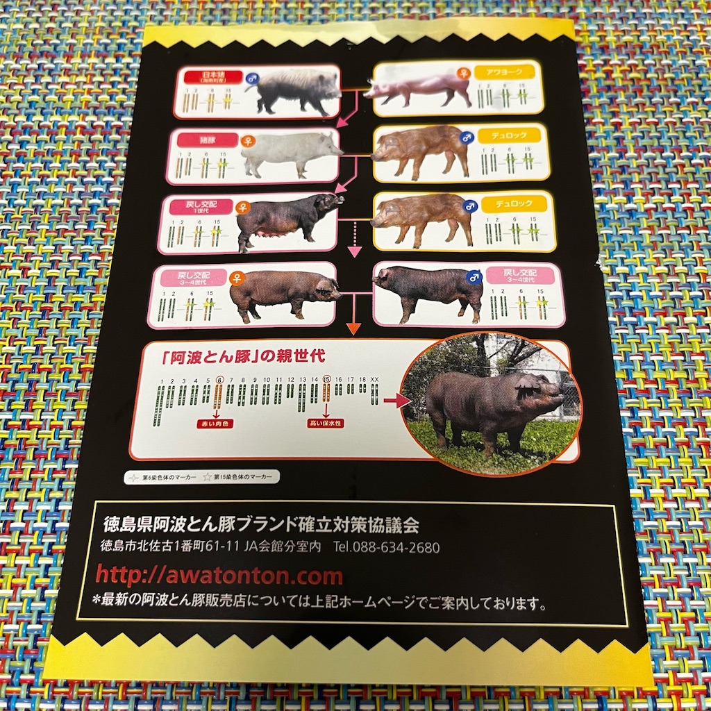 f:id:keikostyle:20220526190005j:image