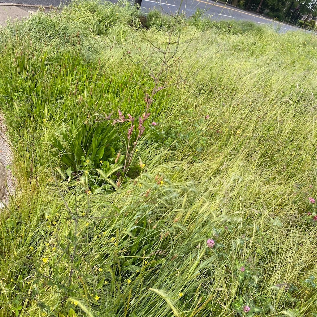 f:id:keikostyle:20220611133002j:image