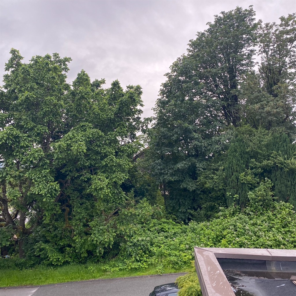 f:id:keikostyle:20220622114434j:image