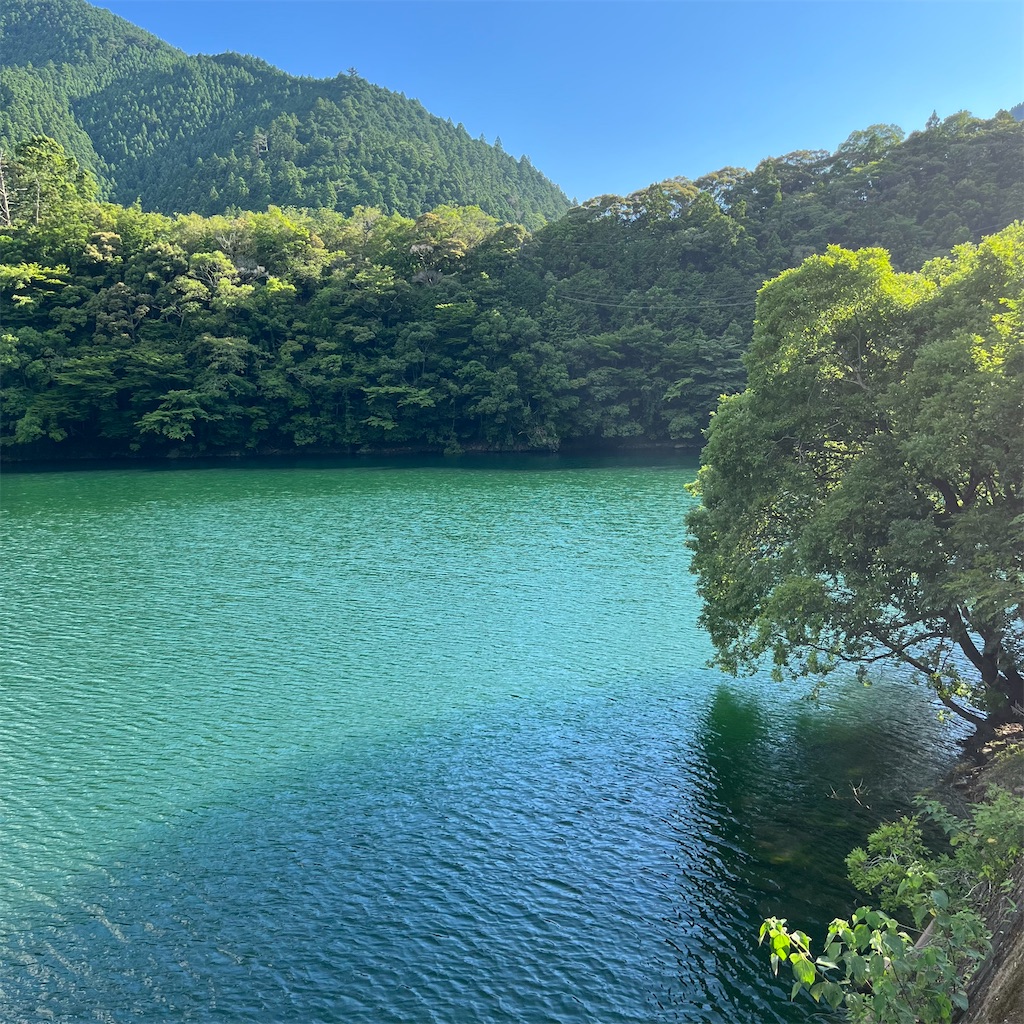 洋画 徳島県吉野川の風景