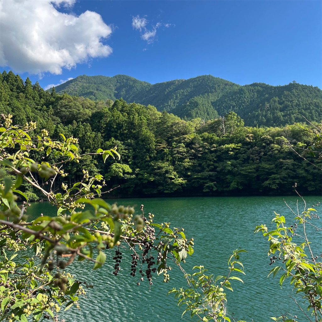 洋画 徳島県吉野川の風景