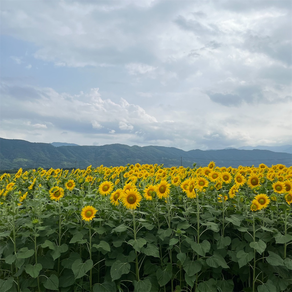 f:id:keikostyle:20220710192922j:image