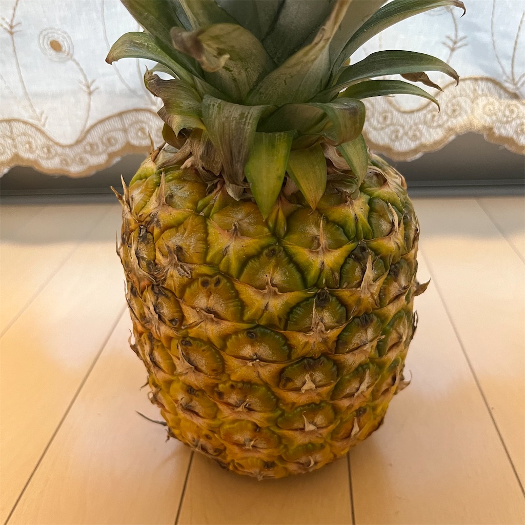 f:id:keikostyle:20220723200455j:image