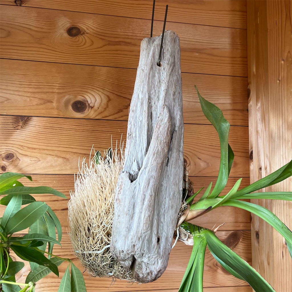 f:id:keikostyle:20220820141601j:image