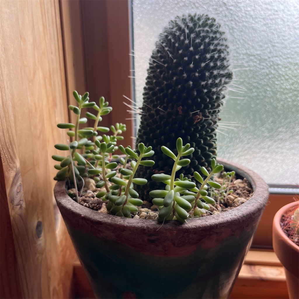 f:id:keikostyle:20220820141621j:image