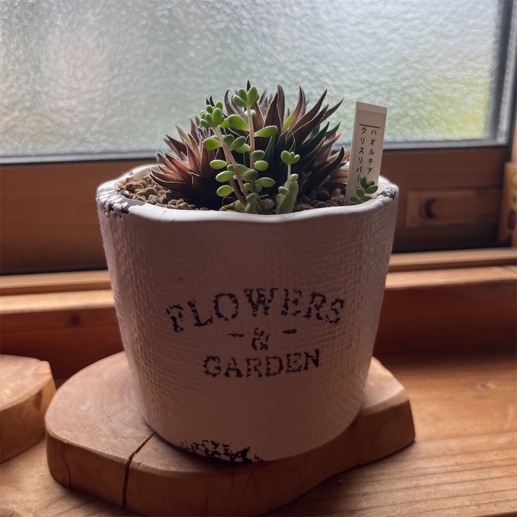 f:id:keikostyle:20220820141628j:image