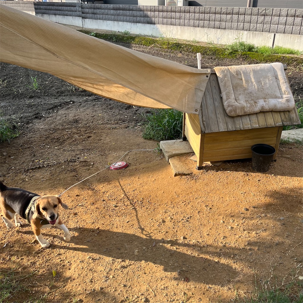 f:id:keikostyle:20220822071530j:image