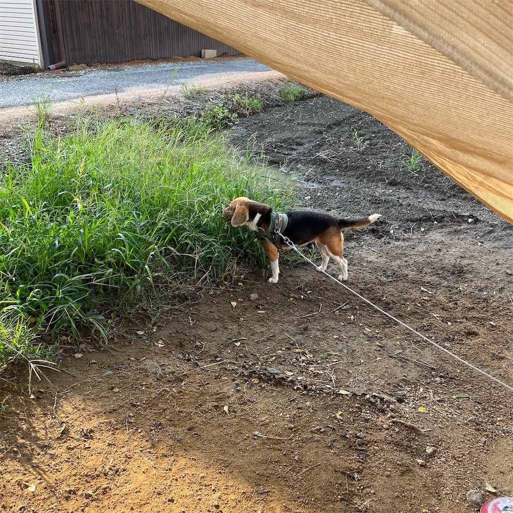 f:id:keikostyle:20220822071537j:image