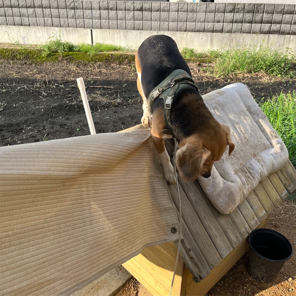 f:id:keikostyle:20220822071540j:image