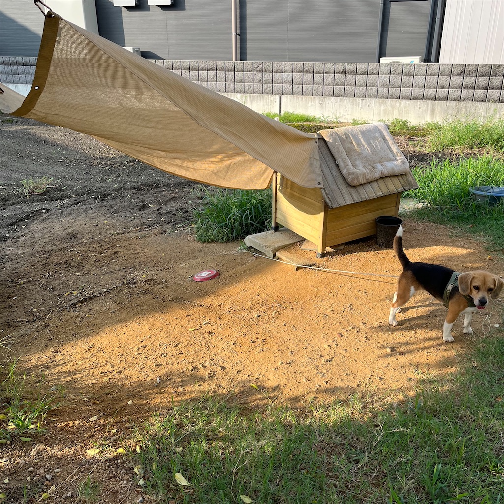 f:id:keikostyle:20220822071602j:image