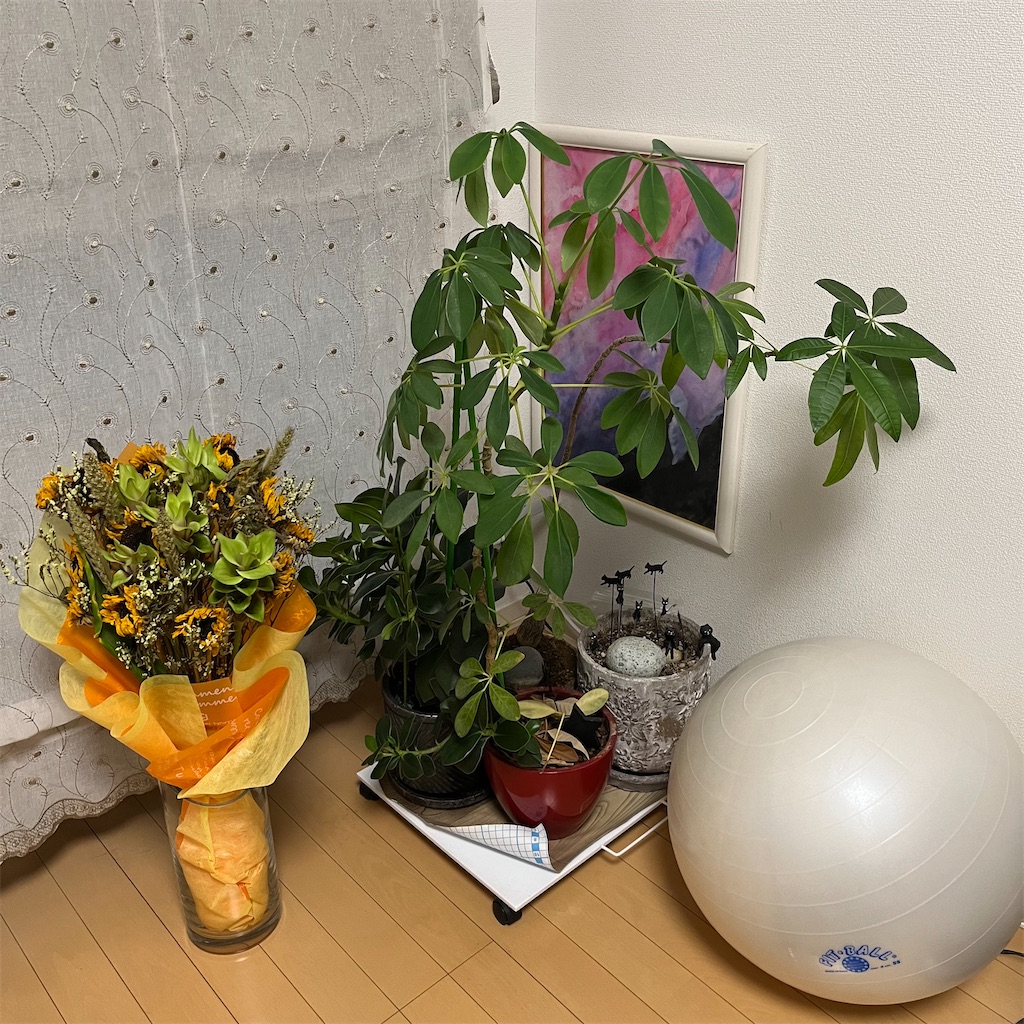 f:id:keikostyle:20220823203651j:image