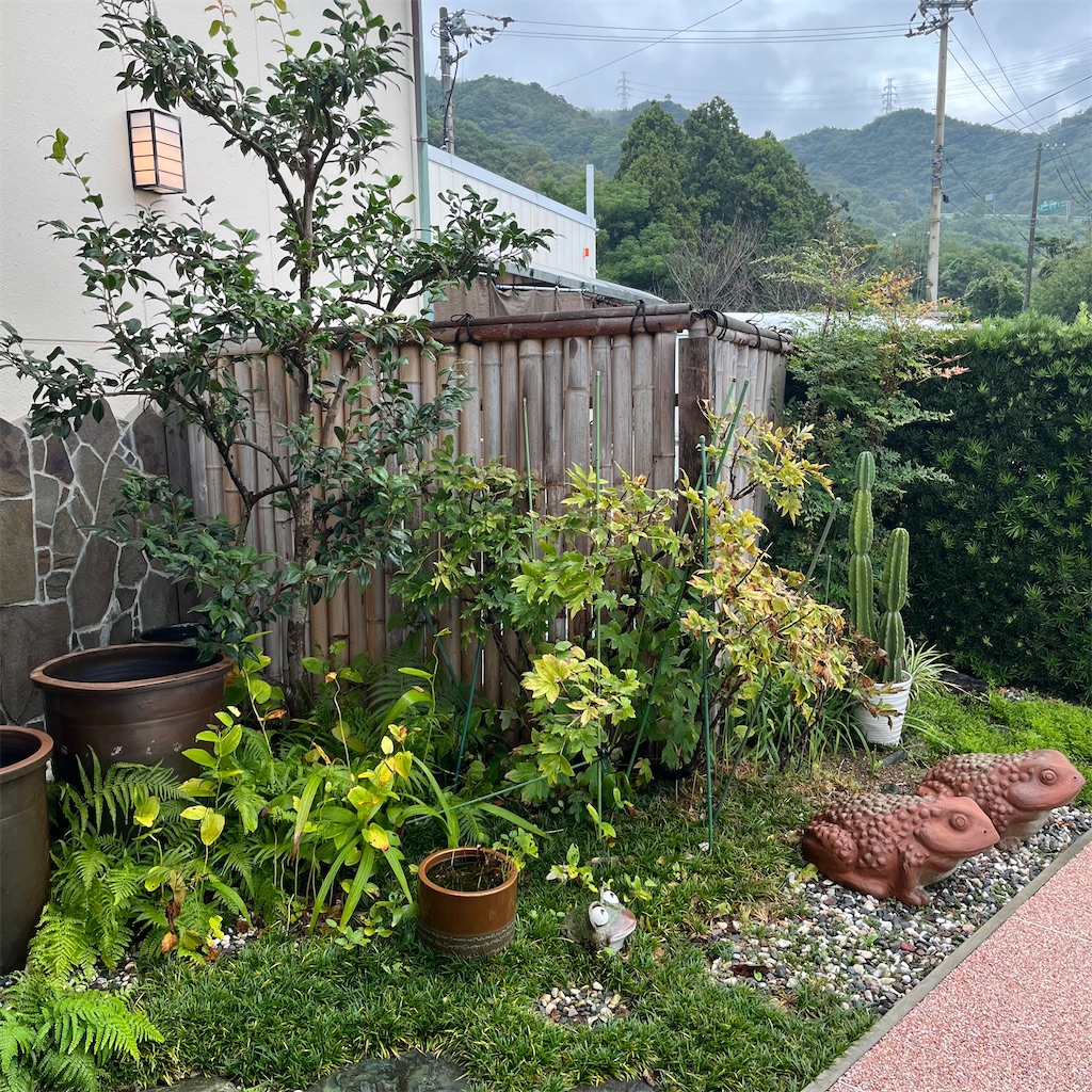 f:id:keikostyle:20220922143220j:image