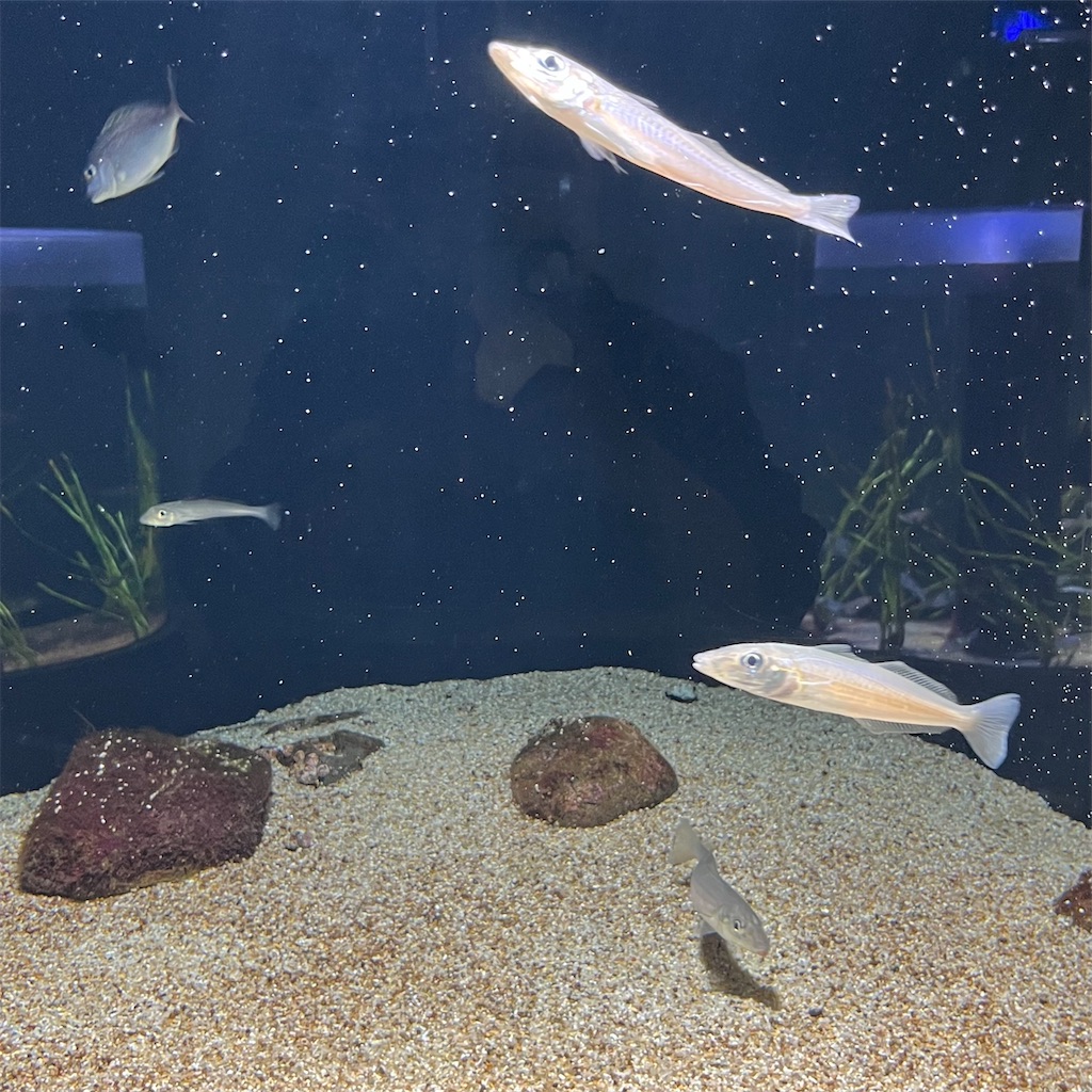 f:id:keikostyle:20221016223340j:image