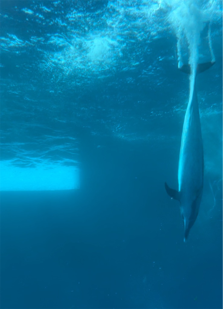 f:id:keikostyle:20221016224300j:image