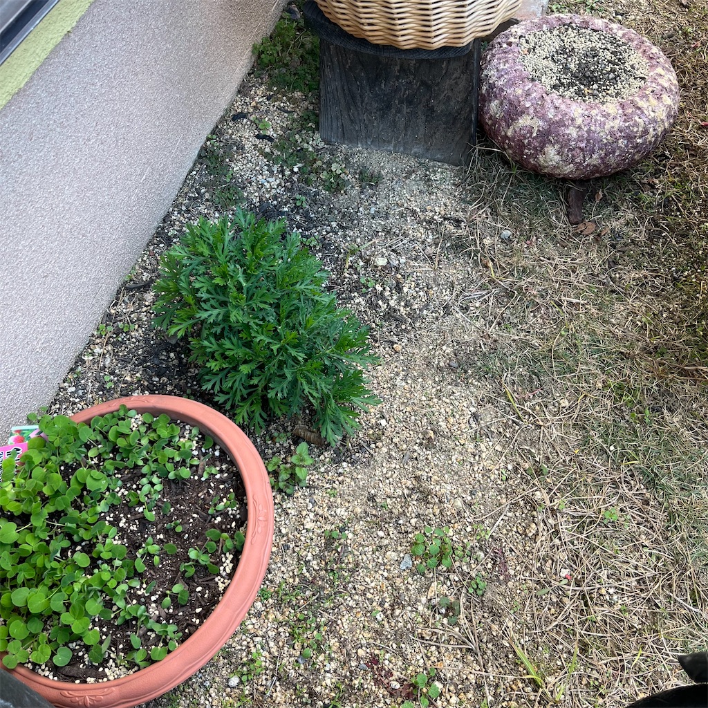f:id:keikostyle:20221219145847j:image