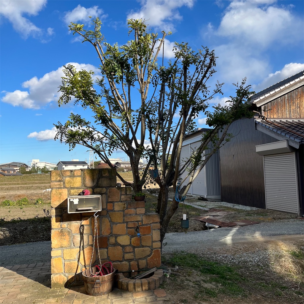 f:id:keikostyle:20221219145926j:image