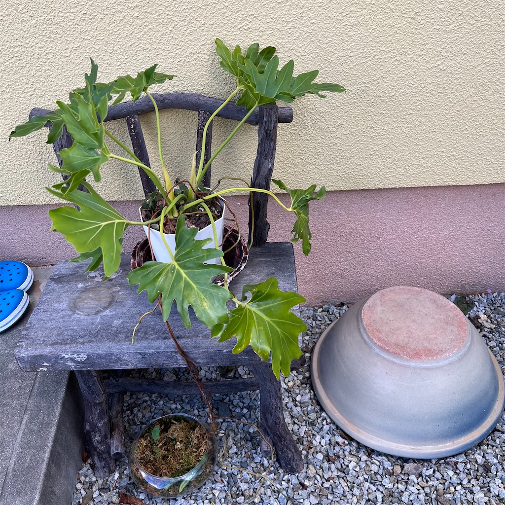 f:id:keikostyle:20221219150002j:image