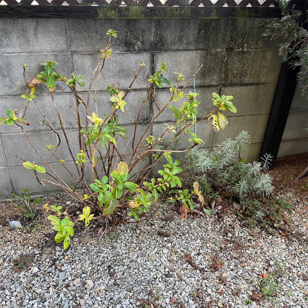 f:id:keikostyle:20221219150006j:image