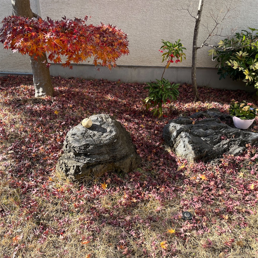 f:id:keikostyle:20230101134227j:image