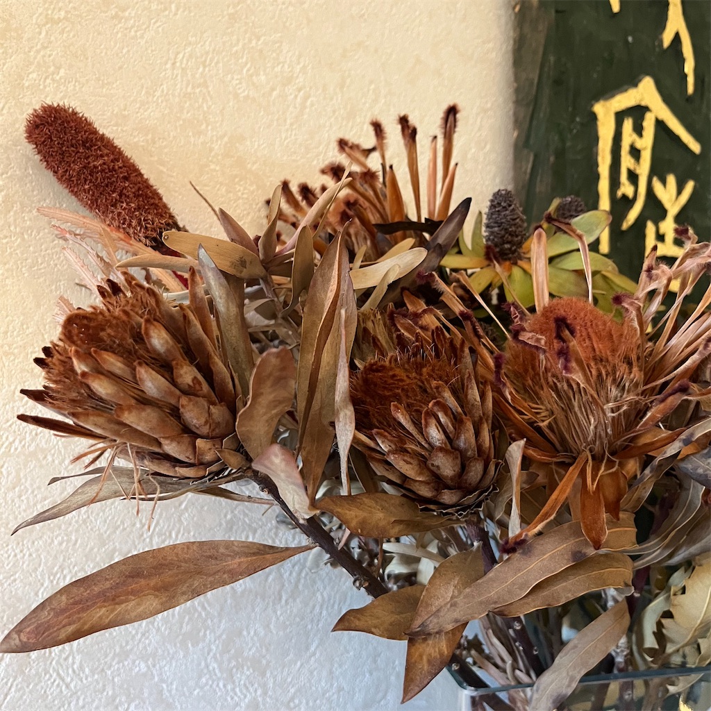 f:id:keikostyle:20230105110526j:image