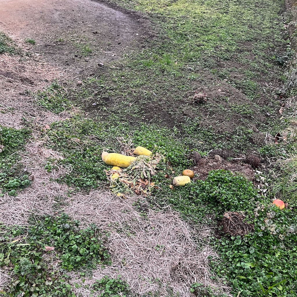 f:id:keikostyle:20230207174039j:image