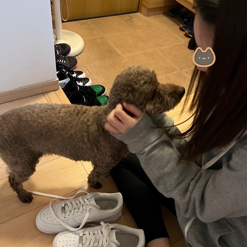 f:id:keikostyle:20230318164015j:image