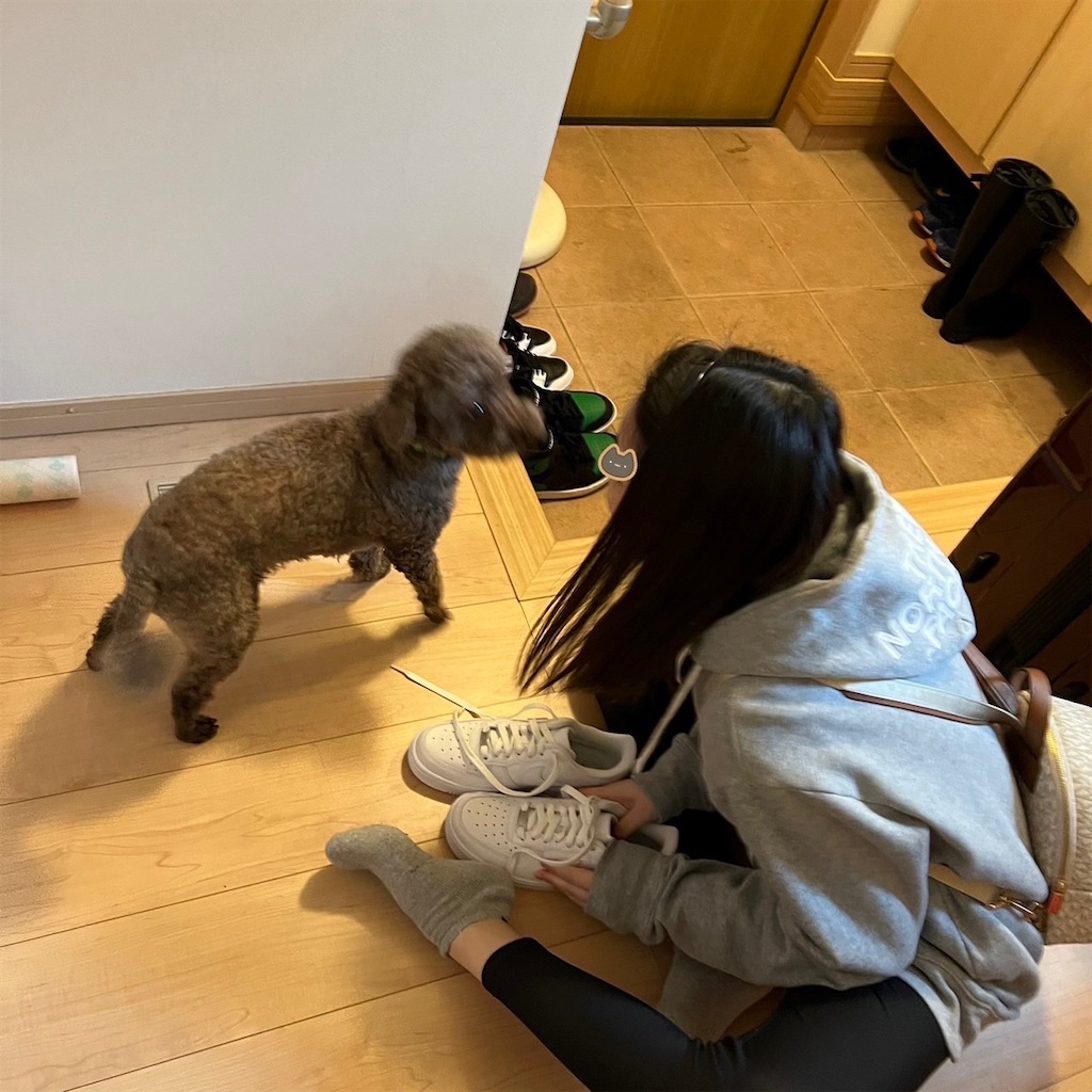 f:id:keikostyle:20230318164022j:image