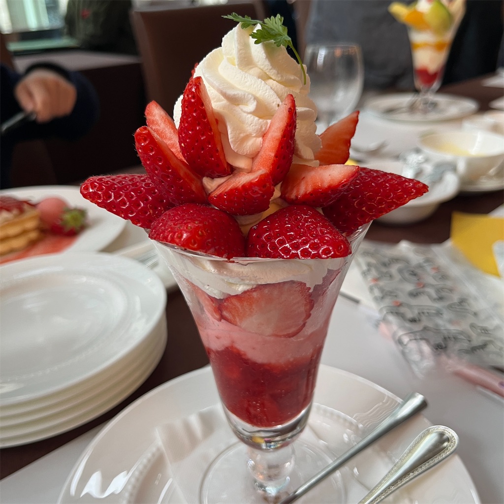 f:id:keikostyle:20230326002137j:image