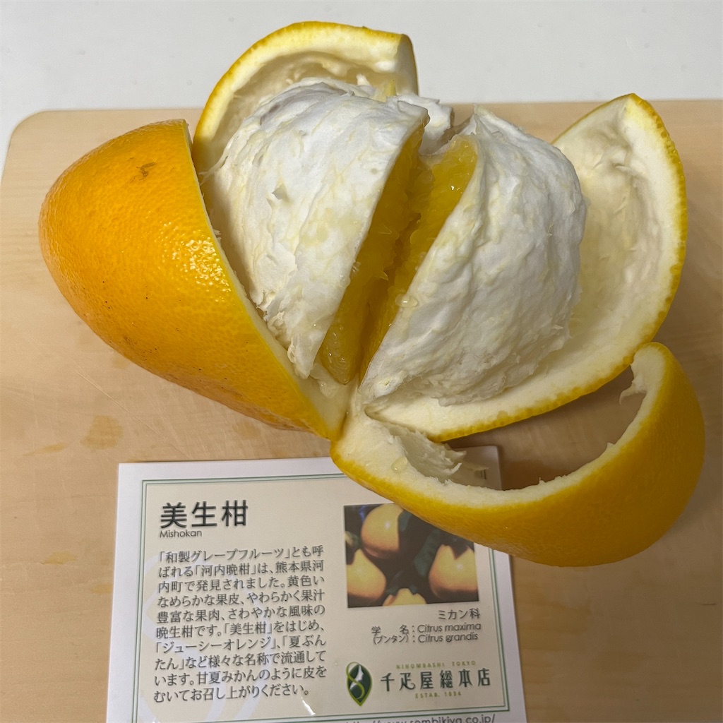f:id:keikostyle:20230329192243j:image