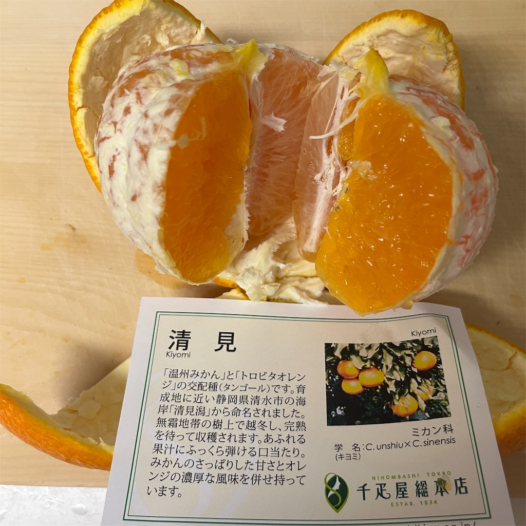 f:id:keikostyle:20230330204700j:image