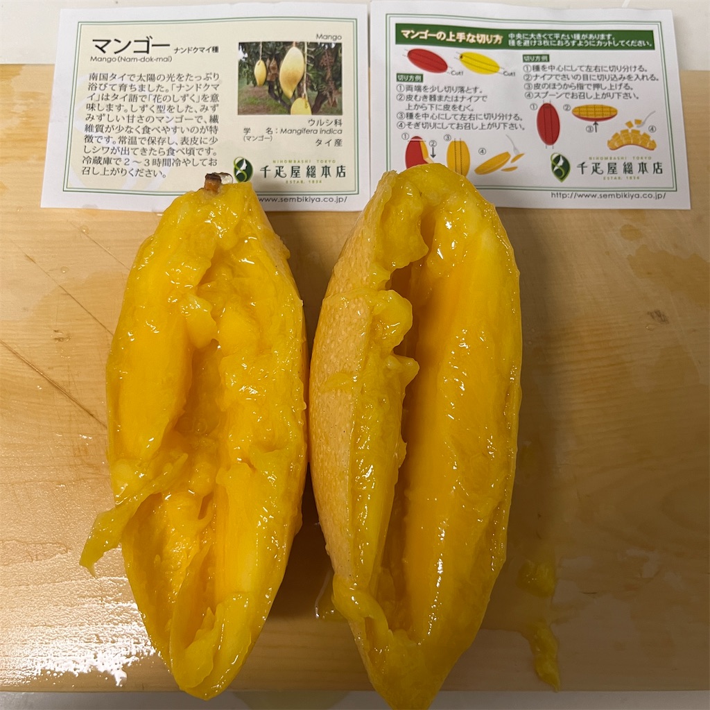 f:id:keikostyle:20230401214115j:image