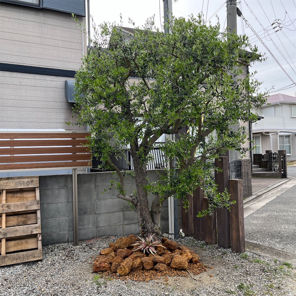 f:id:keikostyle:20230424175315j:image