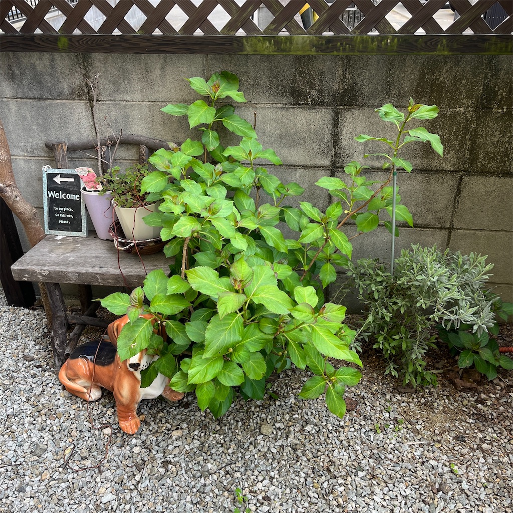 f:id:keikostyle:20230424175344j:image