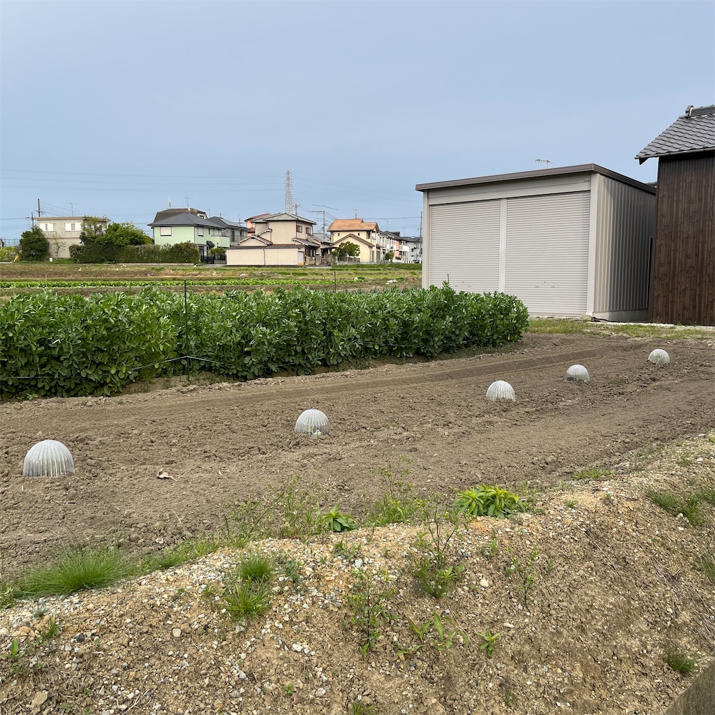 f:id:keikostyle:20230424175900j:image