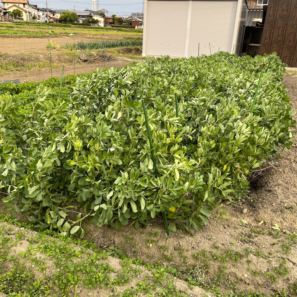 f:id:keikostyle:20230424175903j:image