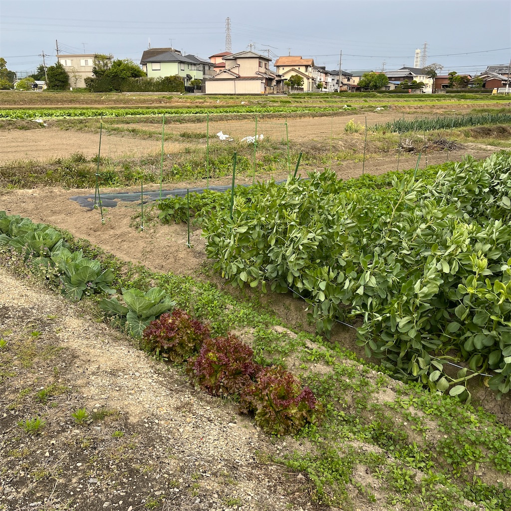 f:id:keikostyle:20230424175906j:image