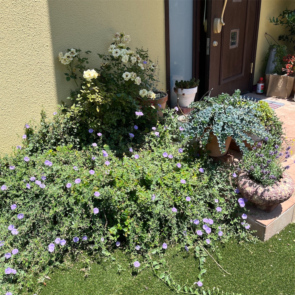 f:id:keikostyle:20230604201227j:image