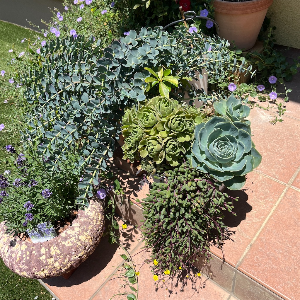 f:id:keikostyle:20230604201230j:image