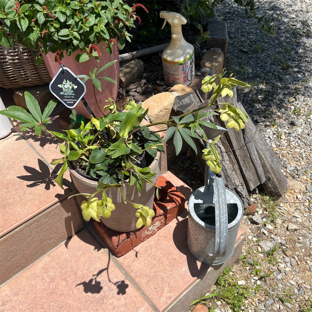 f:id:keikostyle:20230604201255j:image