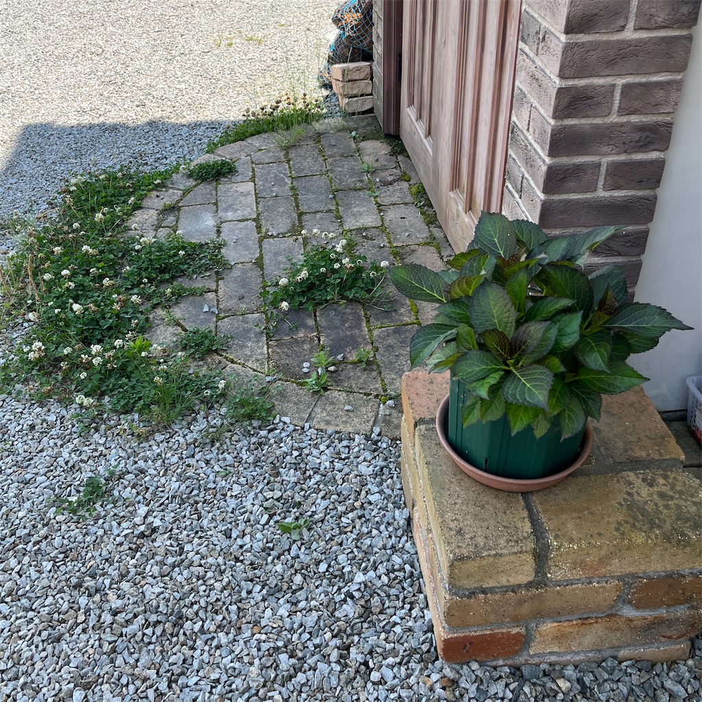 f:id:keikostyle:20230604201259j:image